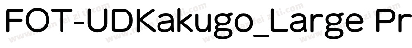FOT-UDKakugo_Large Pr6N DB字体转换